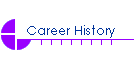 Career History